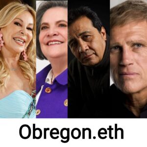 Dominio ENS obregon apellido