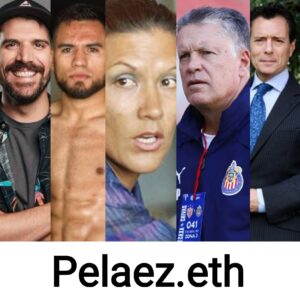 Dominio ENS pelaez apellido